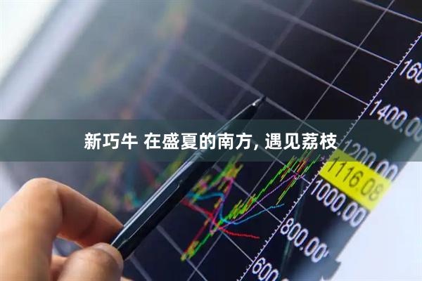 新巧牛 在盛夏的南方, 遇见荔枝